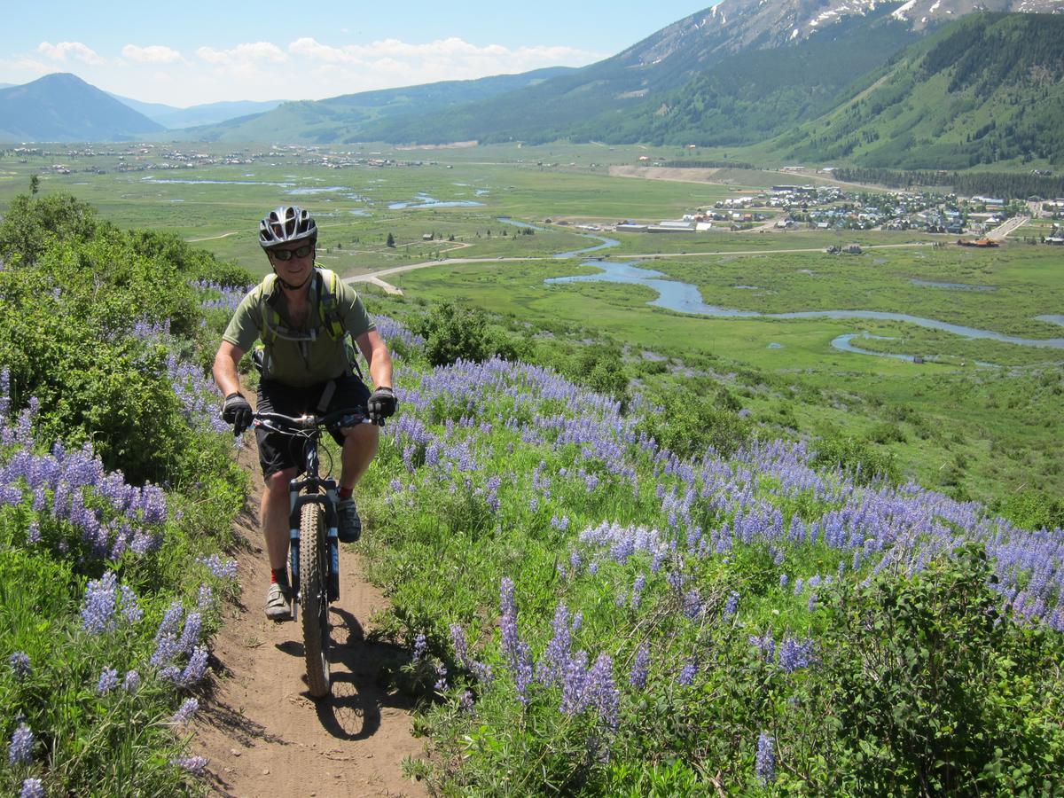 Purple Mountain Bed & Breakfast & Spa Crested Butte Ngoại thất bức ảnh